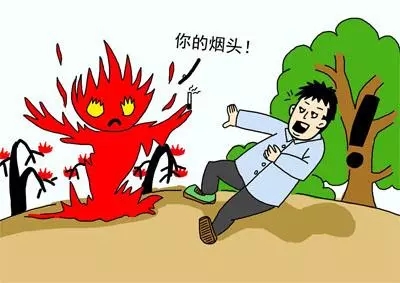 不要在林区吸烟