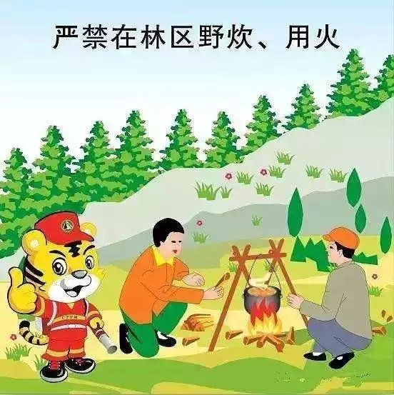不要在山上野炊、烧烤食物