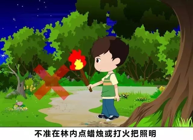 不要在林区使用明火照明