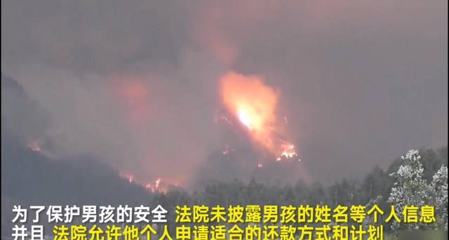 美国西北部的哥伦比亚河大峡谷火灾