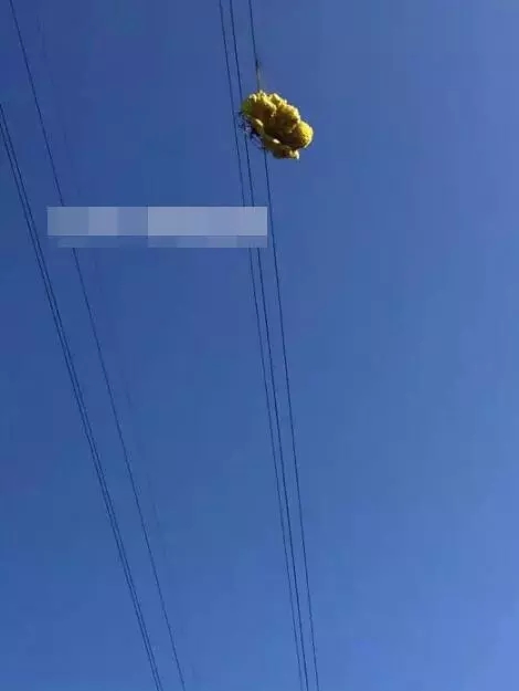 消防员处理的那些奇葩事故