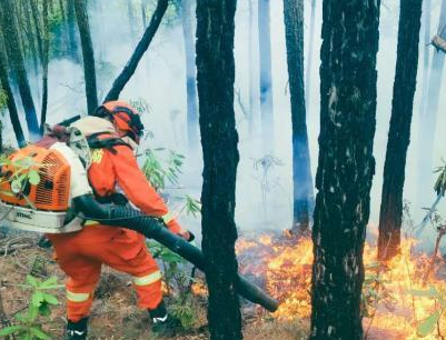 云南安宁森林火灾东北火线复燃 当地约1600人全力扑救